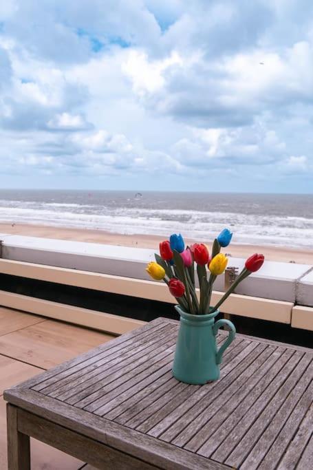Kraaiennest Apartamento Egmond aan Zee Exterior foto