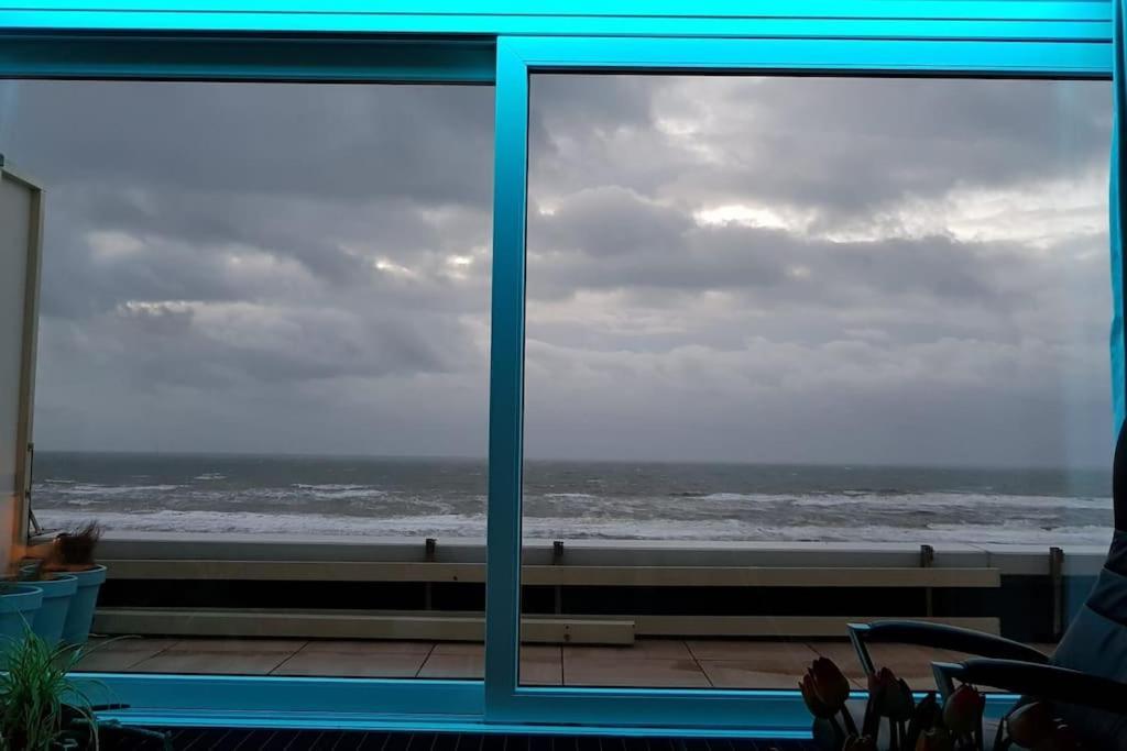 Kraaiennest Apartamento Egmond aan Zee Exterior foto